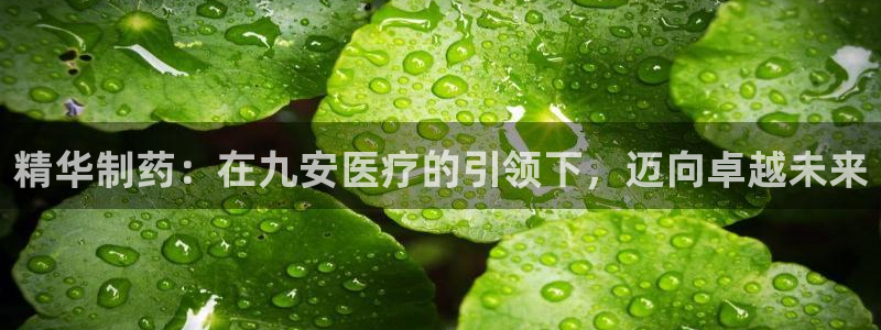 门徒娱乐官网登录入口登录不了：精华制药：