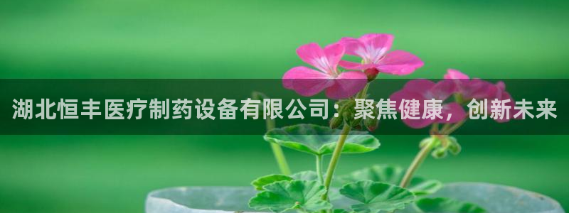 门徒娱乐能玩吗
