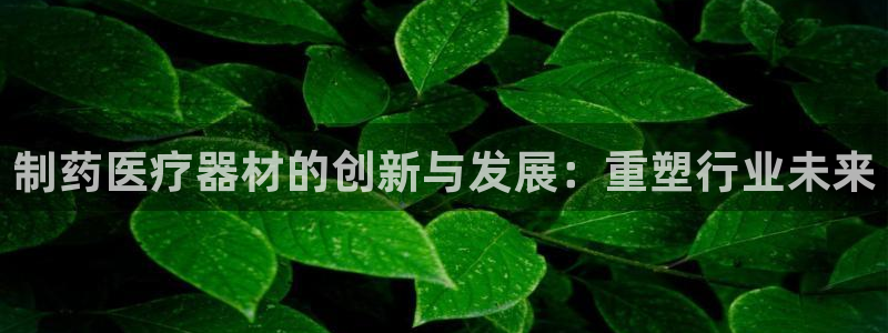 门徒娱乐拉菲