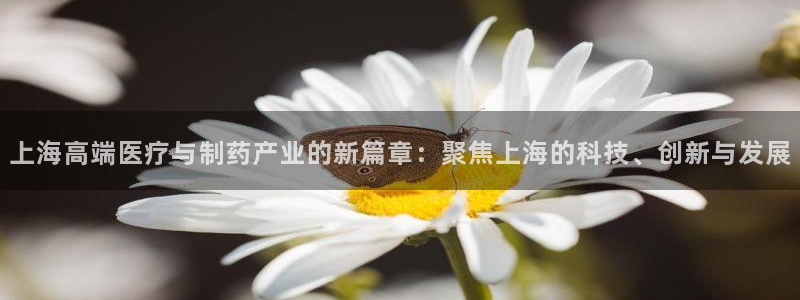 门徒娱乐真的能赚钱吗