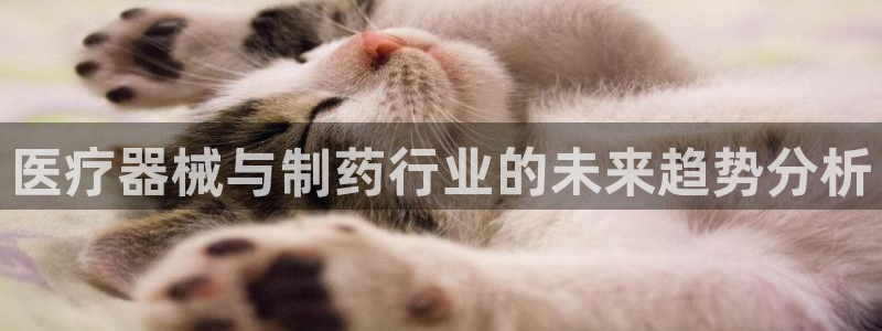 门徒娱乐 门徒平台