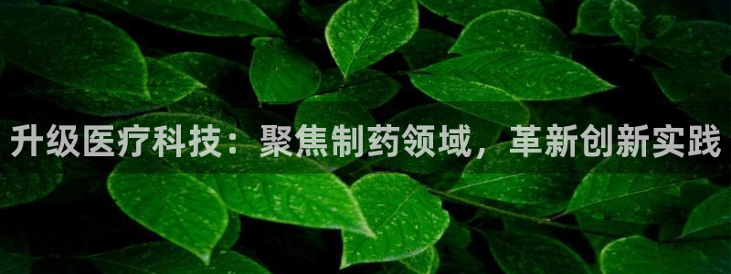 拉菲9门徒娱乐平台代理