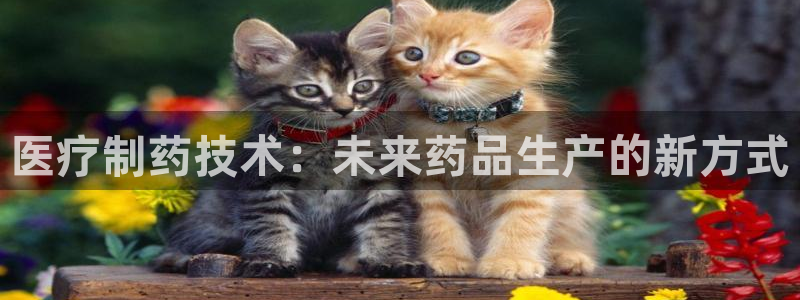 门徒娱乐丈六七五一38