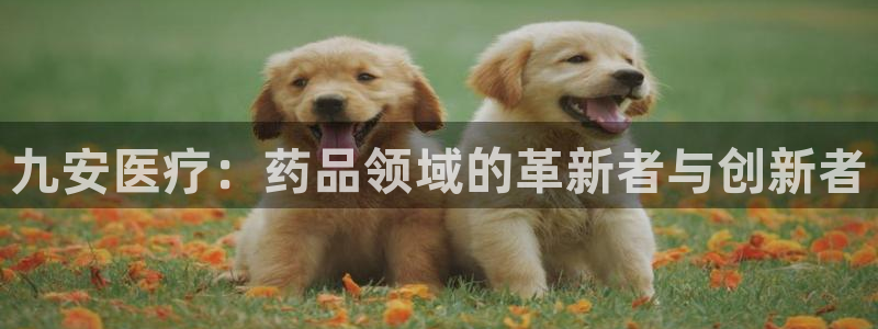 类似娱乐门徒小说