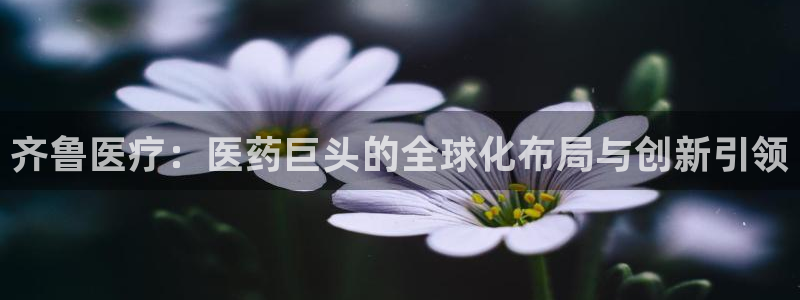 门徒娱乐网站有哪些公司