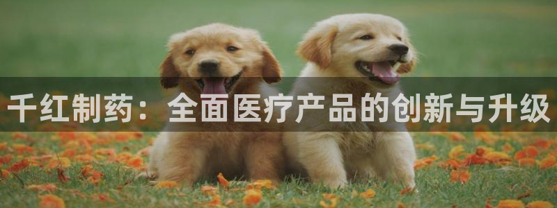 娱乐圈门徒