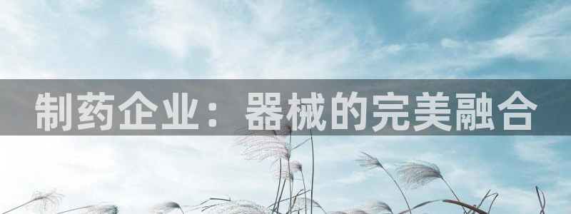 门徒娱乐老板是谁