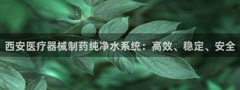 门徒娱乐其看判官333OO