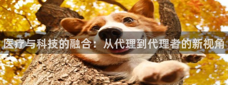 门徒娱乐平台安全吗现在