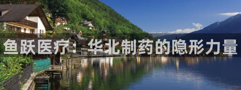 门徒娱乐联37997