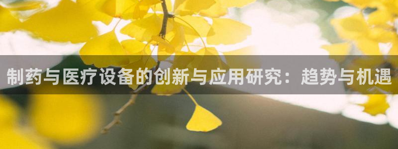 门徒娱乐项目是什么