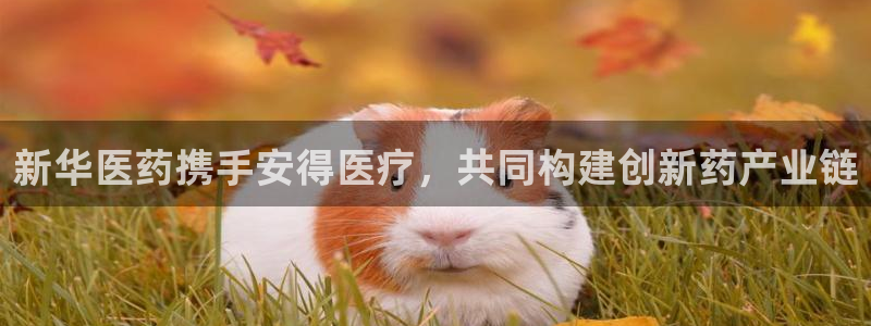 门徒娱乐注册定唐老鸭779O3