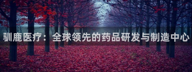 门徒娱乐老板是谁啊