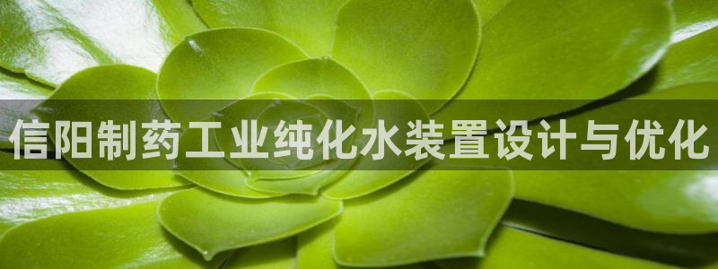 门徒娱乐其看判官333OO