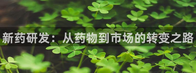 门徒娱乐系列有哪些剧