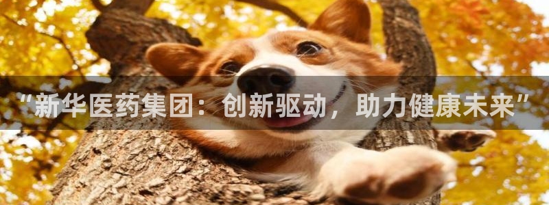 门徒娱乐是正规的嘛