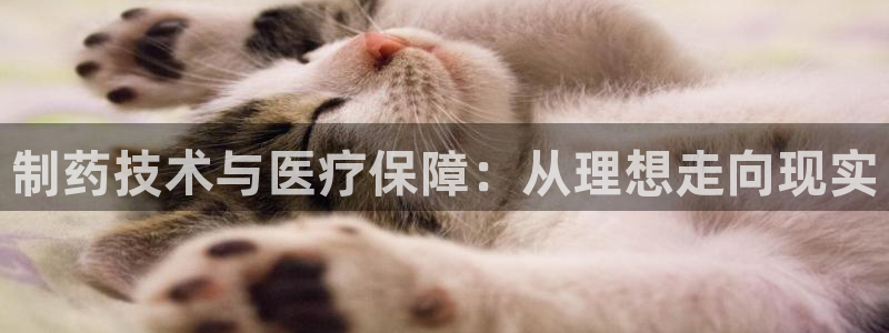 门徒娱乐测速