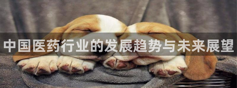 门徒搜狐娱乐