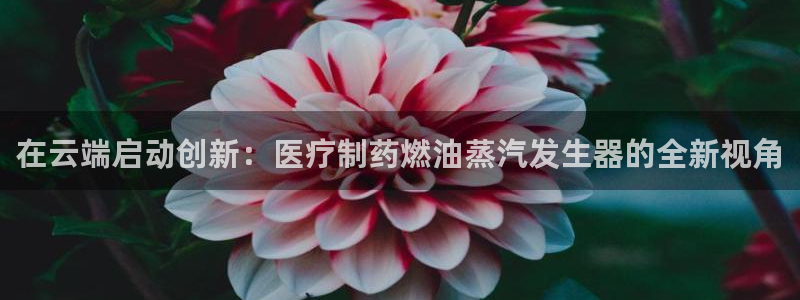 门徒娱乐67五壹叁八
