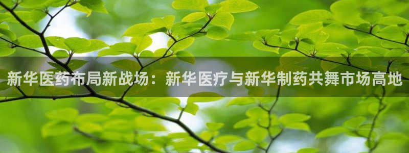 娱乐门徒完结了没有