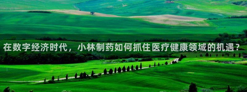 类似娱乐门徒这种的小说