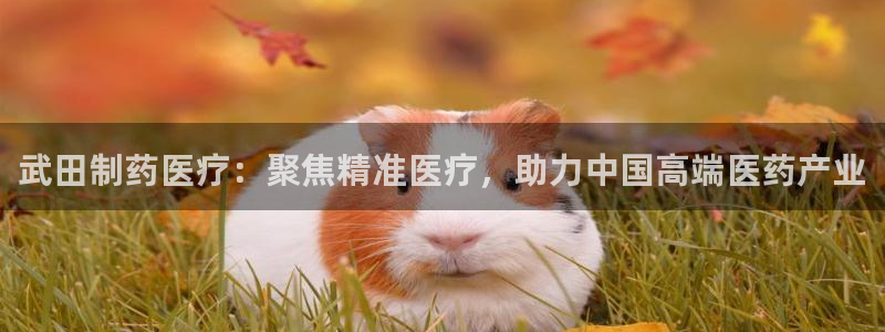 门徒娱乐主管之判官333OO