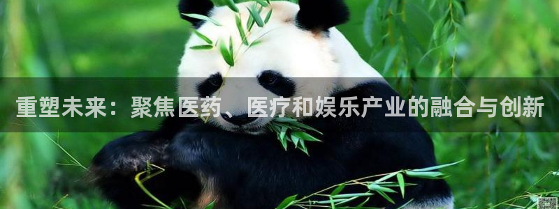 门徒娱乐项目介绍怎么写