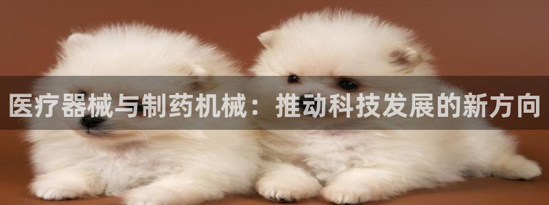 门徒娱乐是哪里的公司