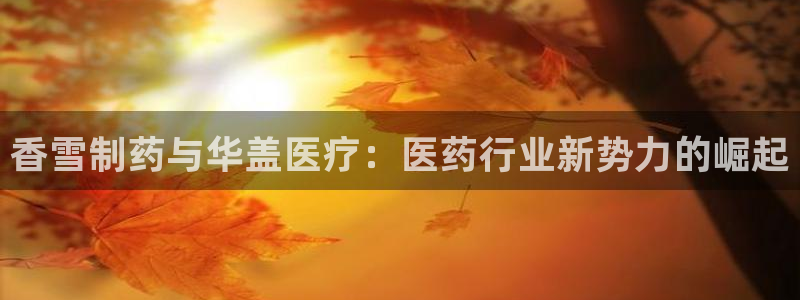 门徒娱乐平台登入