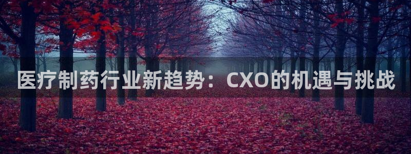 门徒地址娱乐