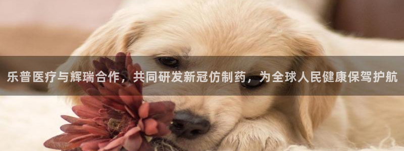 娱乐门徒biquke