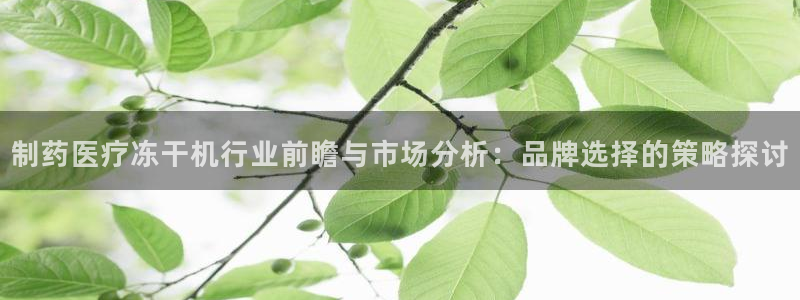 门徒娱乐开多少时间了
