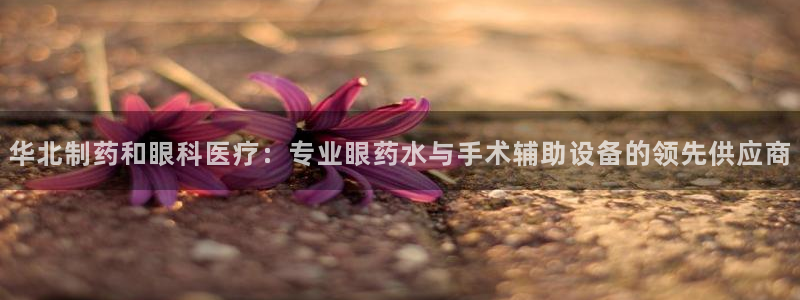 娱乐圈明星门徒