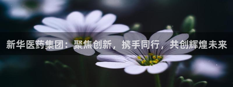 门徒娱乐老板是谁扮演的