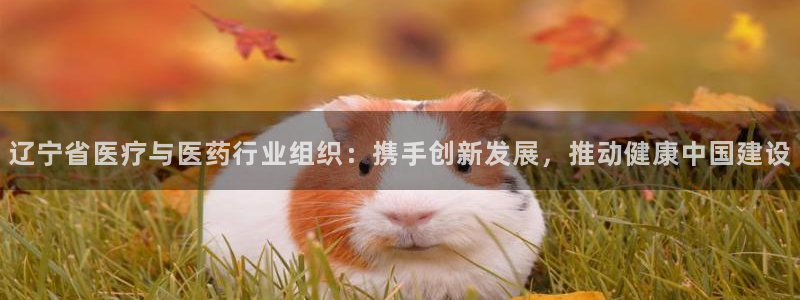 门徒娱乐与六七五一38