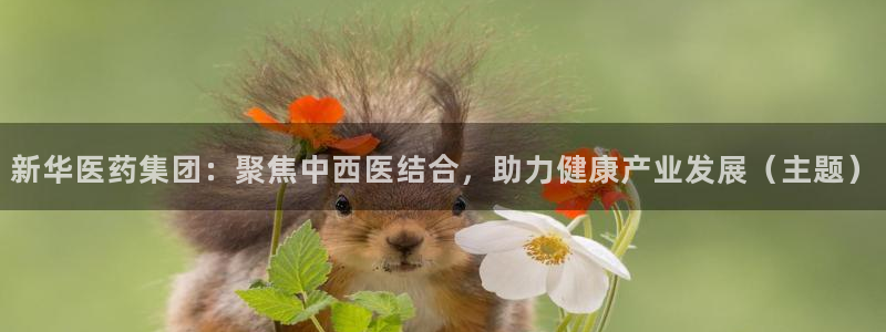 门徒娱乐做什么的