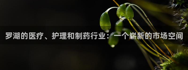 门徒娱乐是个什么软件呀