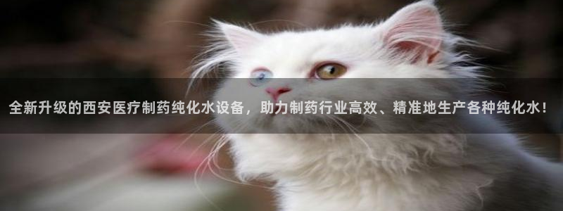 门徒娱乐网页版下载