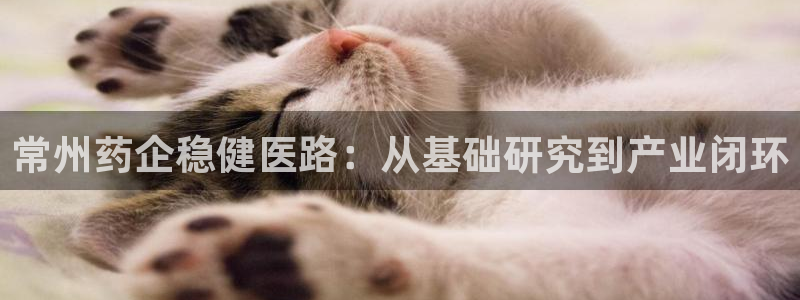 娱乐门徒内容
