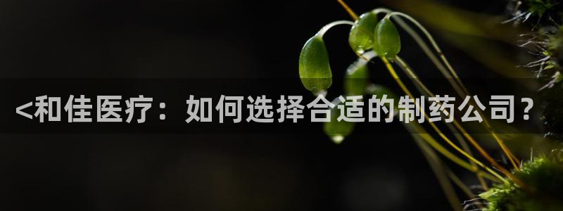 门徒娱乐左5指尖