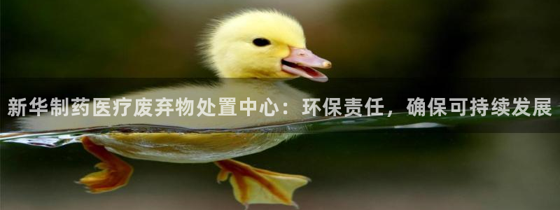 门徒娱乐公司介绍怎么写