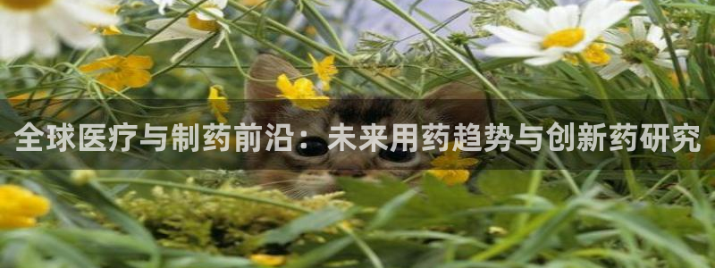 门徒娱乐在线链接网址