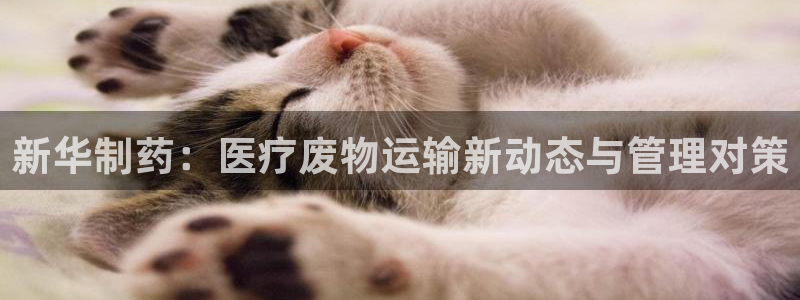 门徒娱乐主管39977l6官网