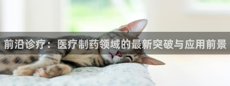 门徒娱乐平台真的假的