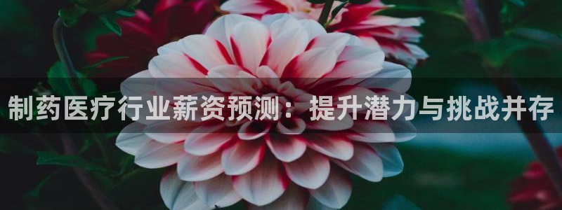 门徒娱乐登陆网站登录