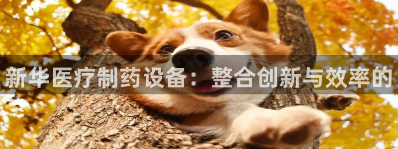 门徒娱乐招商可去判官333OO