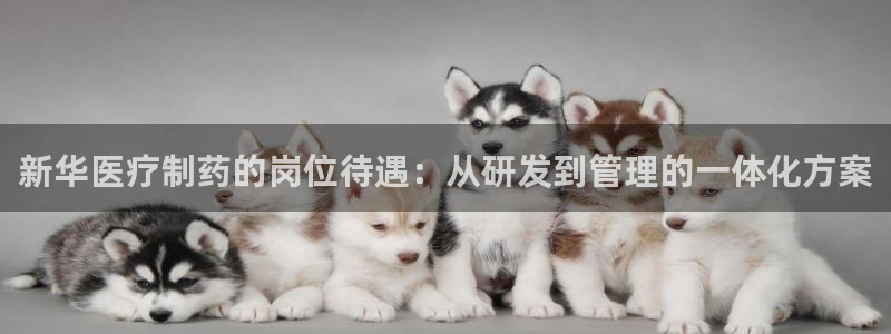 门徒娱乐怎么样