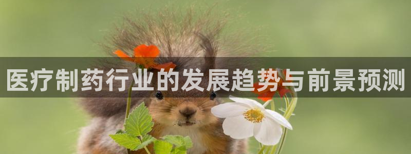 门徒娱乐软件下载