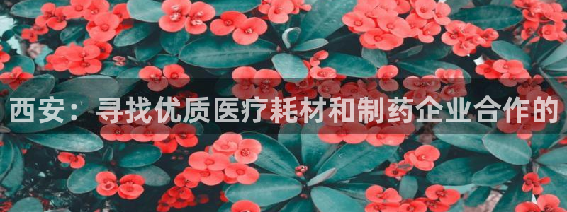 门徒娱乐挂机app下载