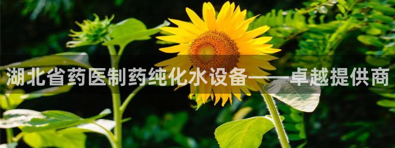 门徒娱乐登录网址是多少